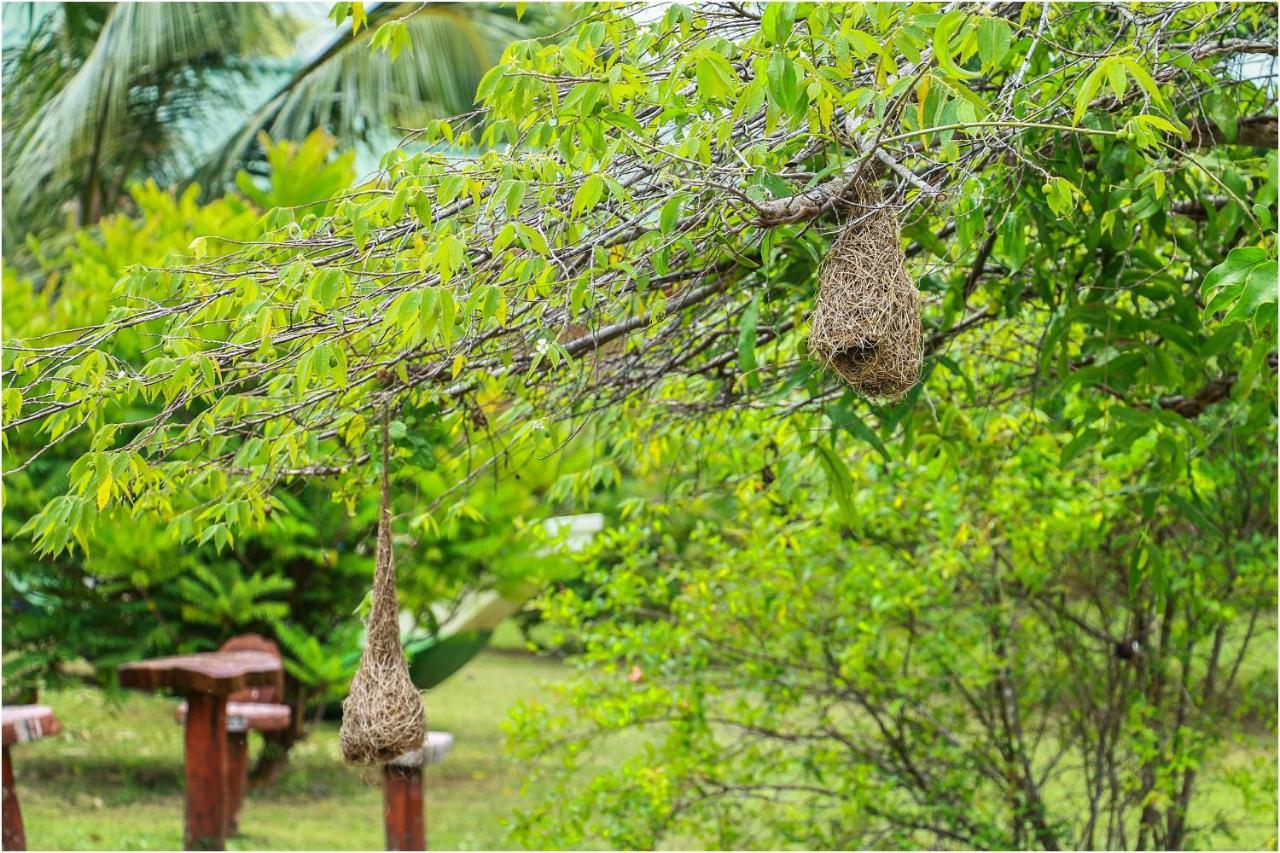 Yala Peace Cottages Tissamaharama Luaran gambar