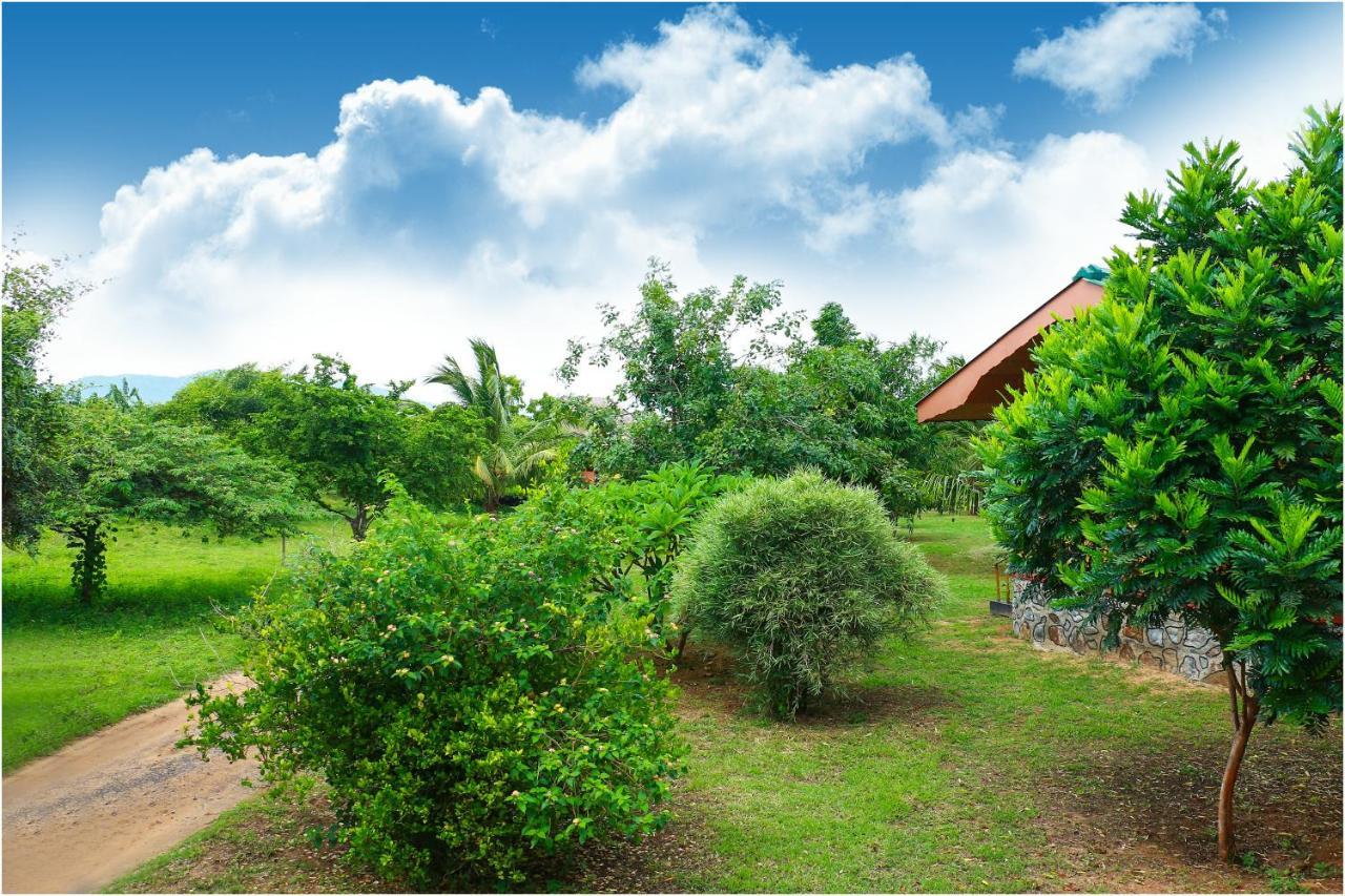 Yala Peace Cottages Tissamaharama Luaran gambar