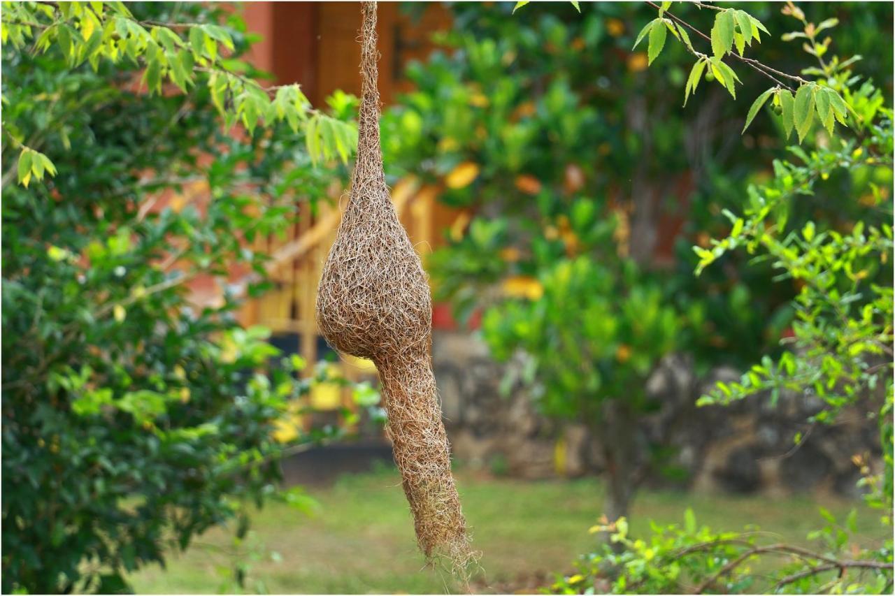 Yala Peace Cottages Tissamaharama Luaran gambar