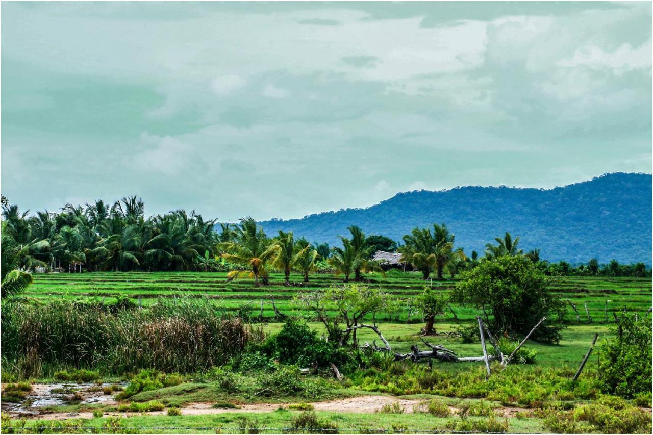 Yala Peace Cottages Tissamaharama Luaran gambar