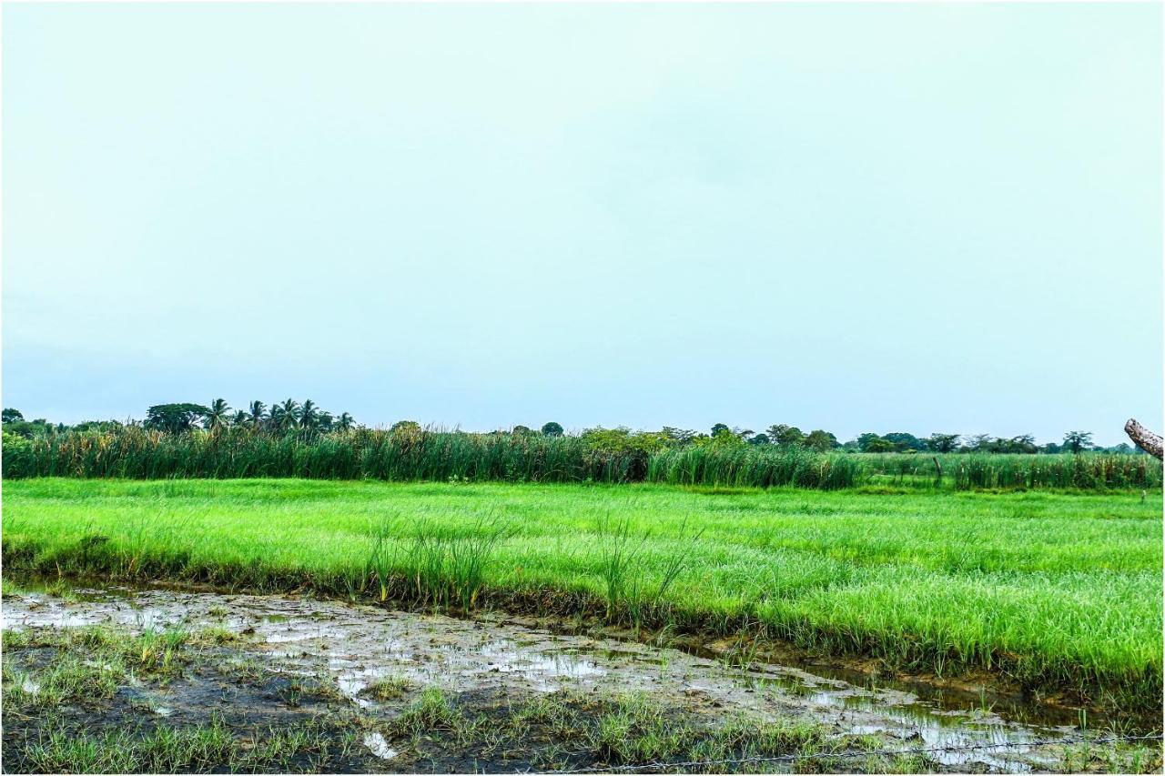 Yala Peace Cottages Tissamaharama Luaran gambar