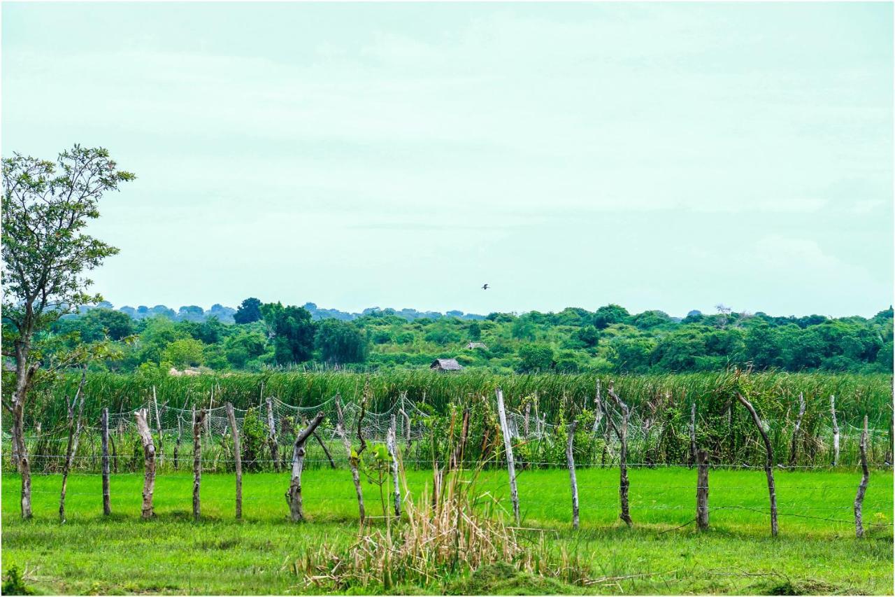 Yala Peace Cottages Tissamaharama Luaran gambar